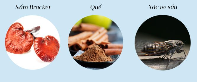 những vị thuốc Đông y Nhật phổ biến những vị thuốc Đông y Nhật phổ biến